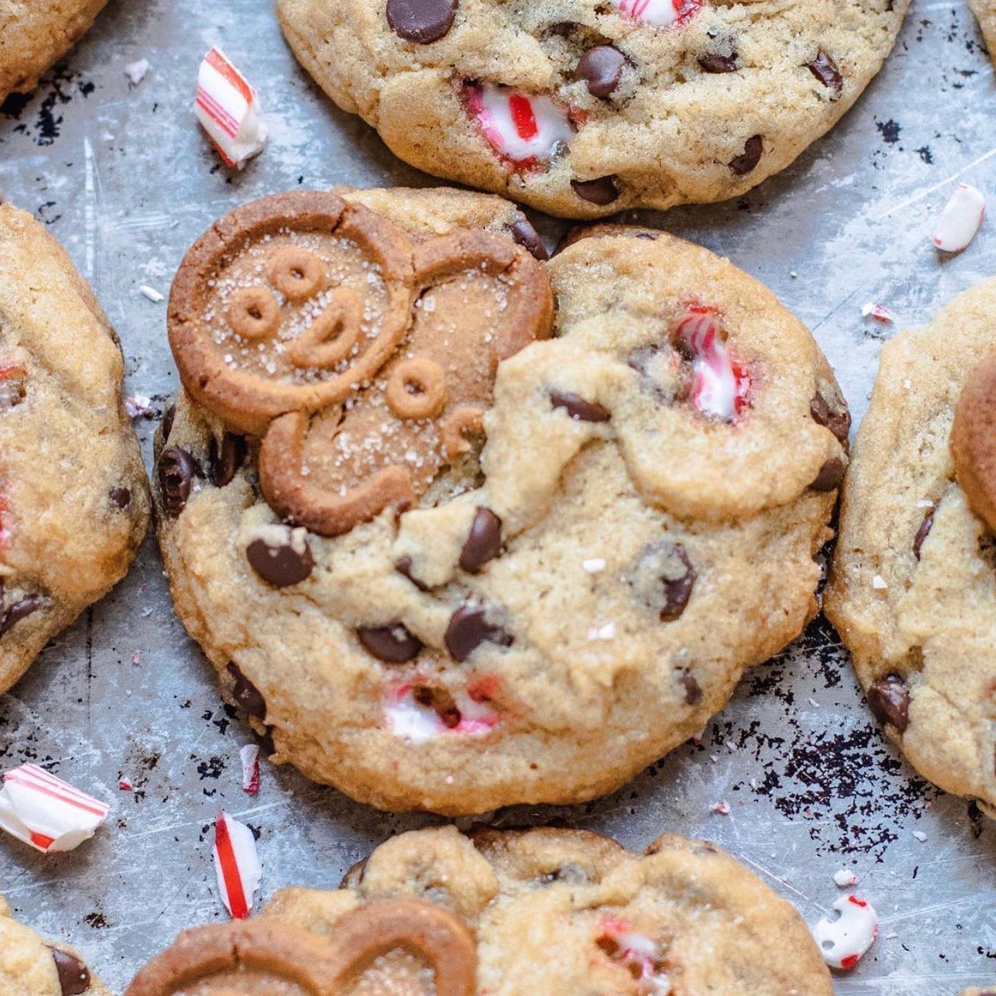 Chocolate Chip Gingerbread Cookies