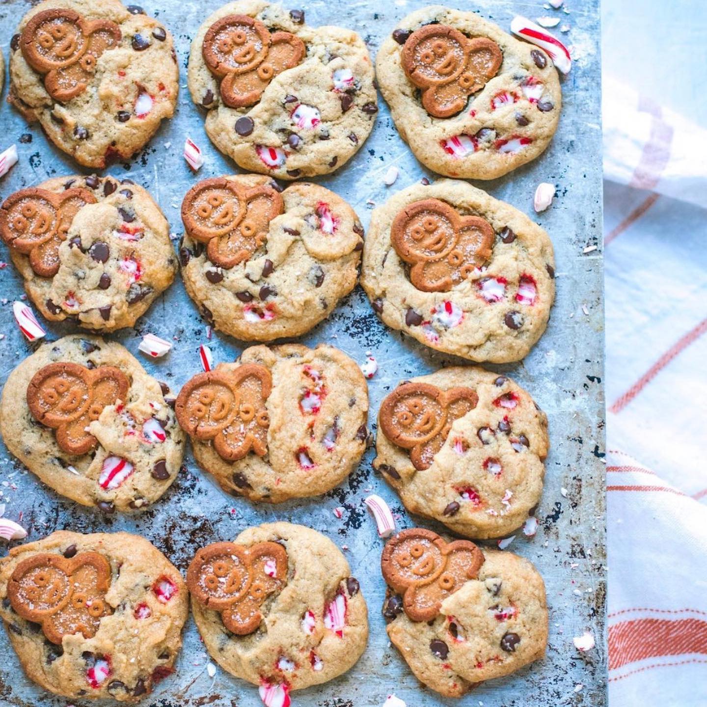 Chocolate Chip Gingerbread Cookies