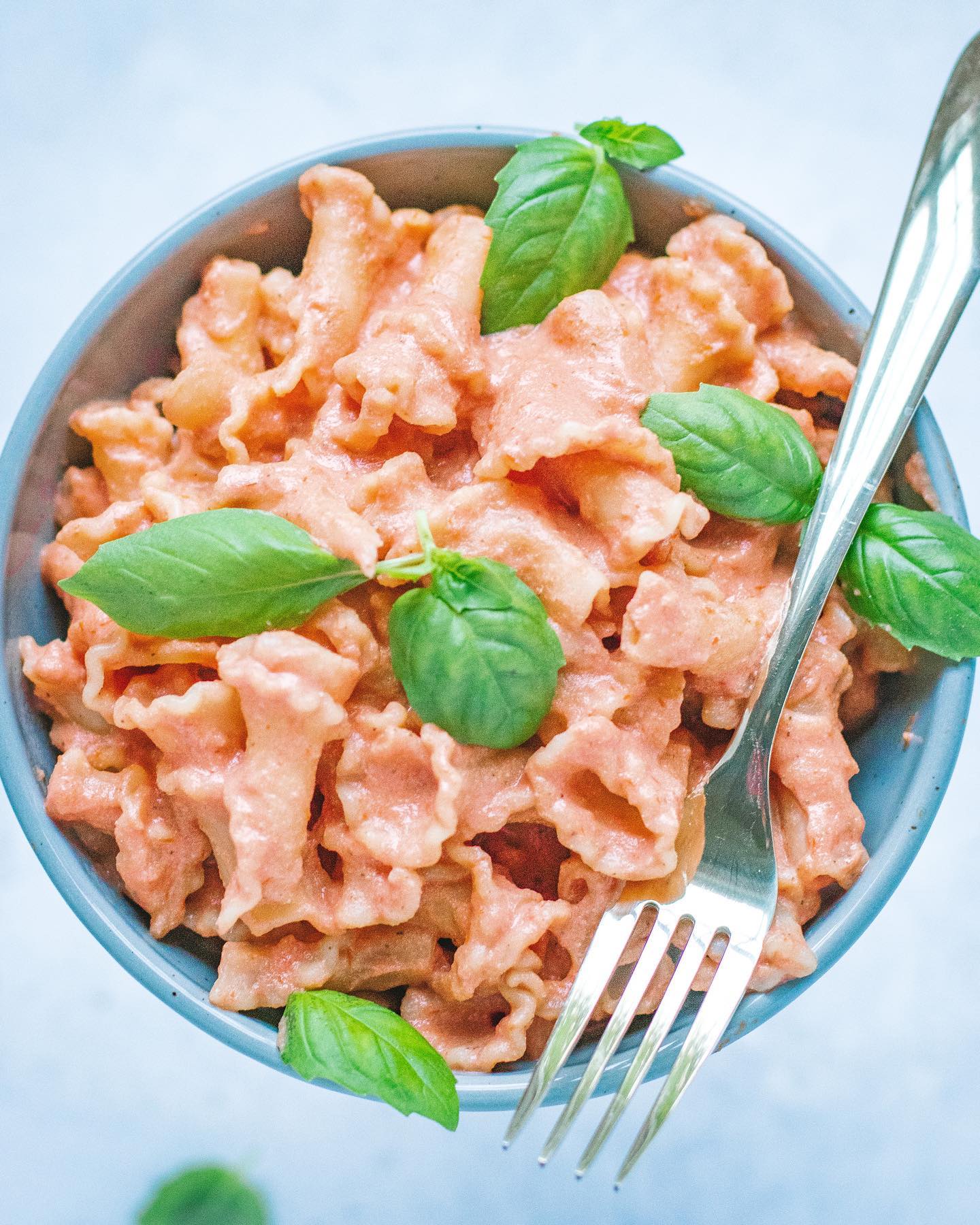 Creamy Tomato Pasta Bowls