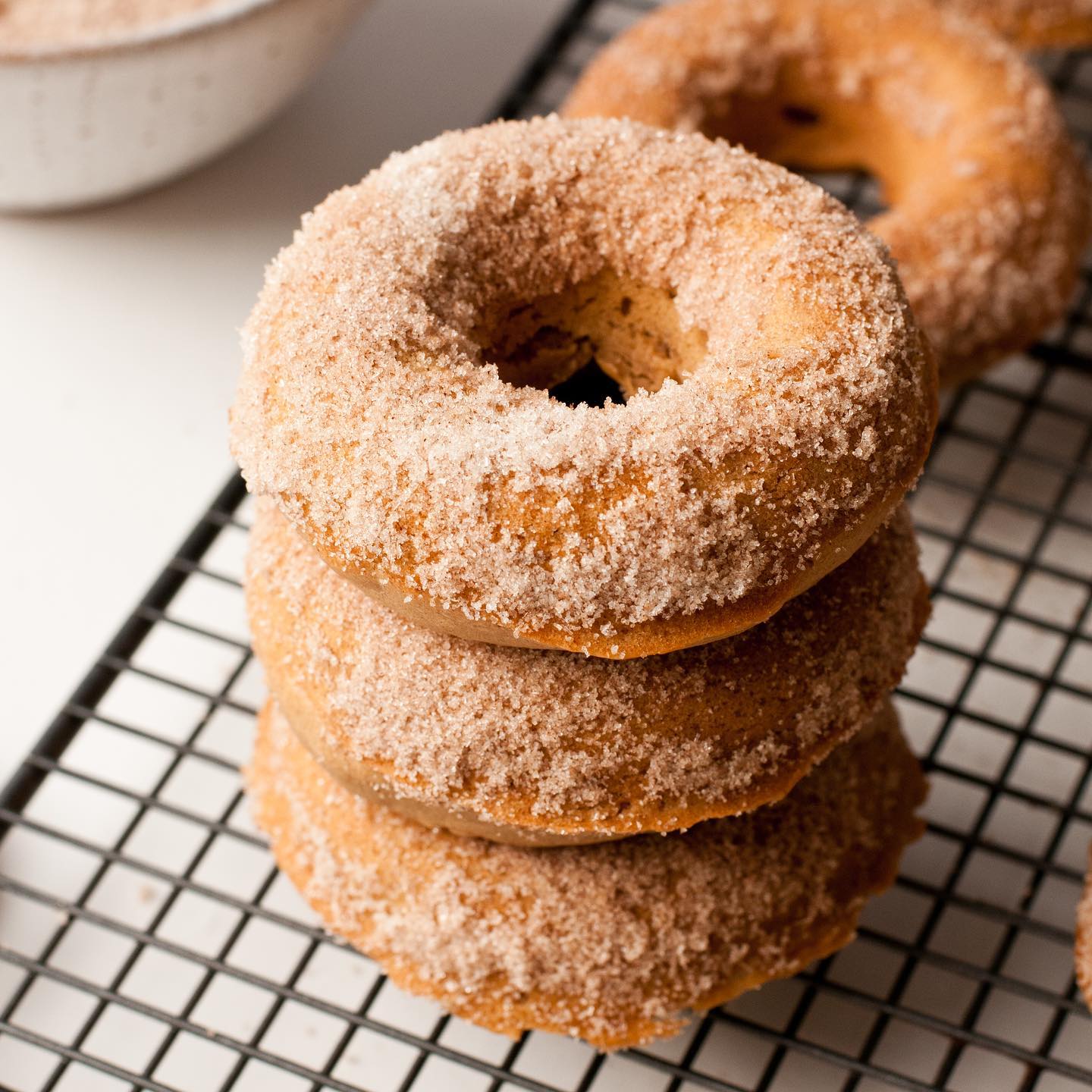 Vegan Baked Doughnuts with Cinnamon Coating