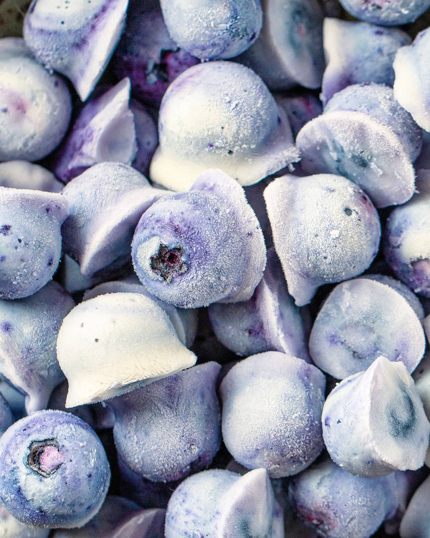 Frozen Blueberry Yogurt Bites