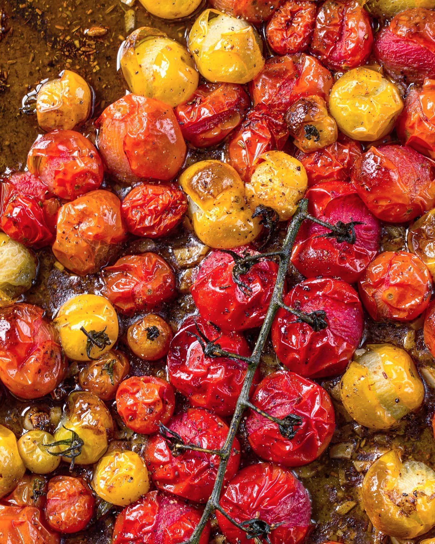 Roasted Tomato Salad with Coriander Dressing and Hung Yogurt