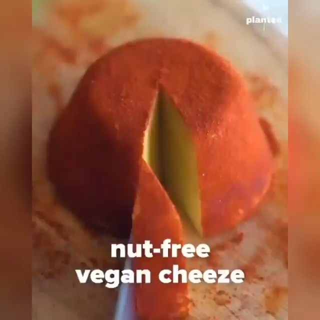 Dairy-Free Nut-Free Cheese