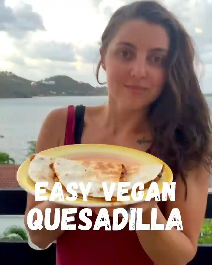 Vegan Quesadilla with Vegetable Filling