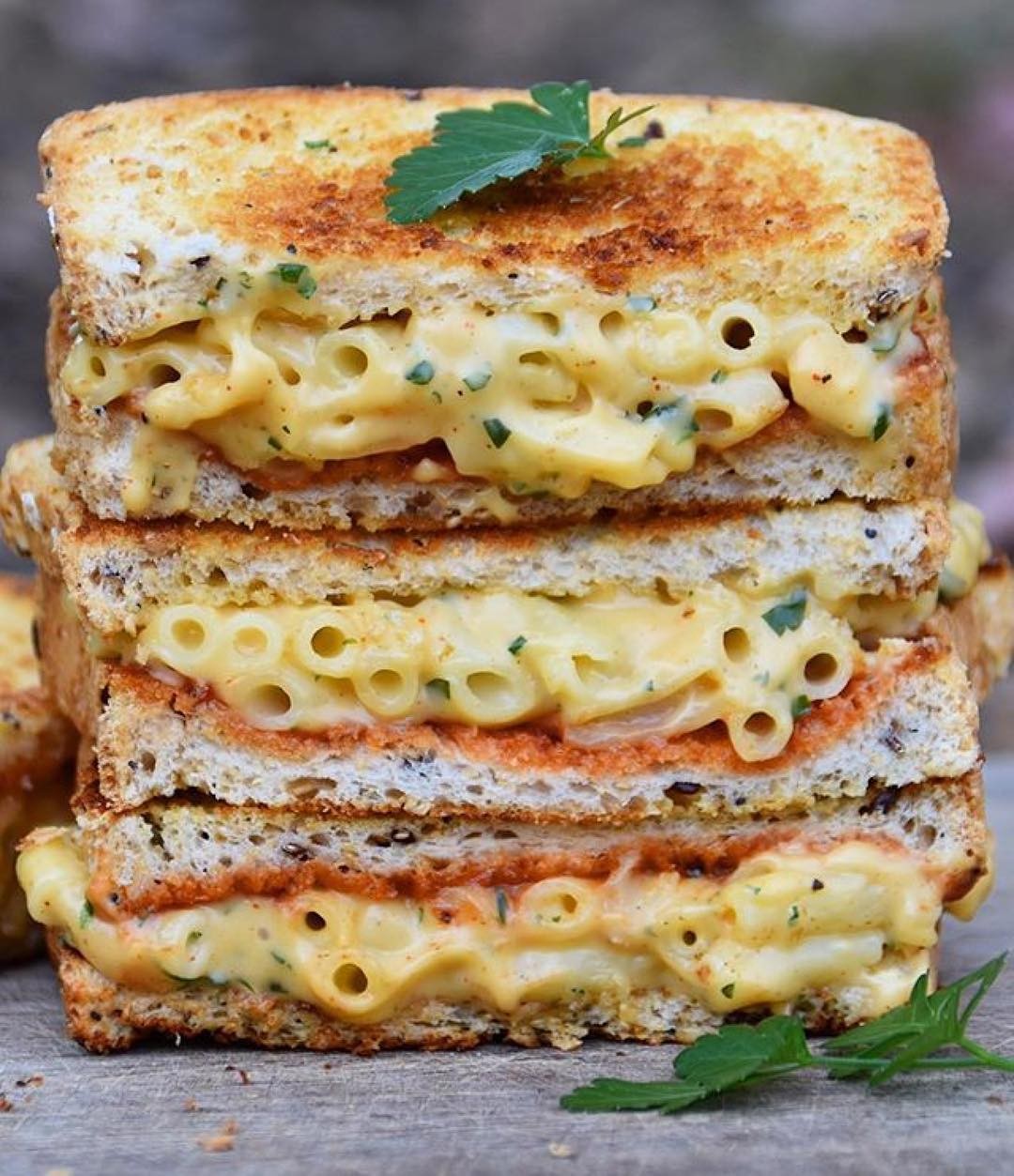 Vegan Mac and Cheese Sandwich