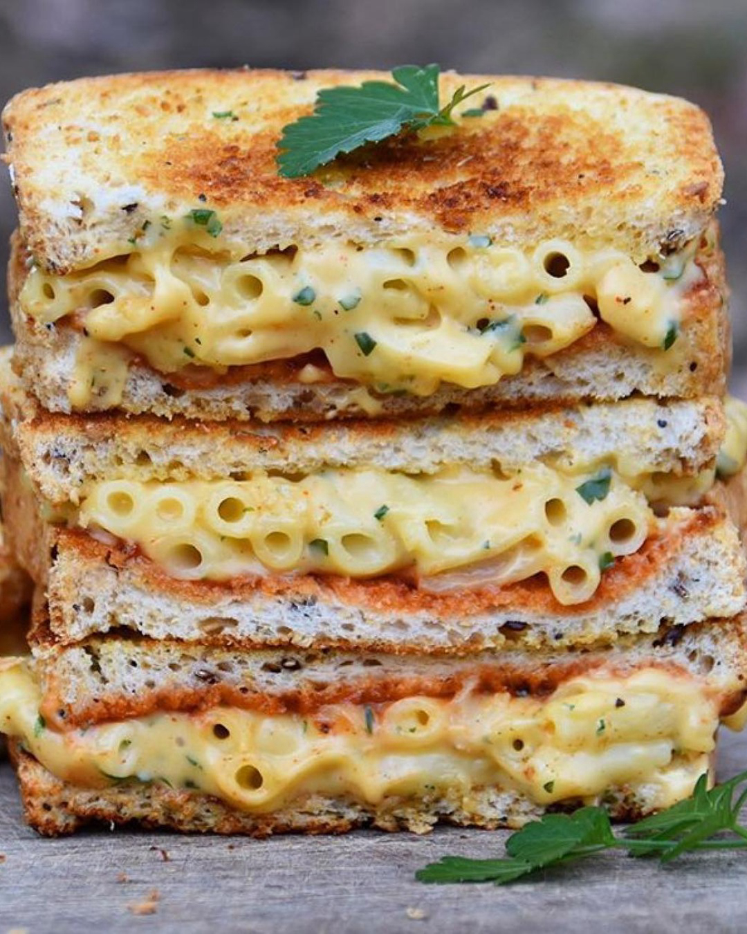 Vegan Mac and Cheese Sandwich