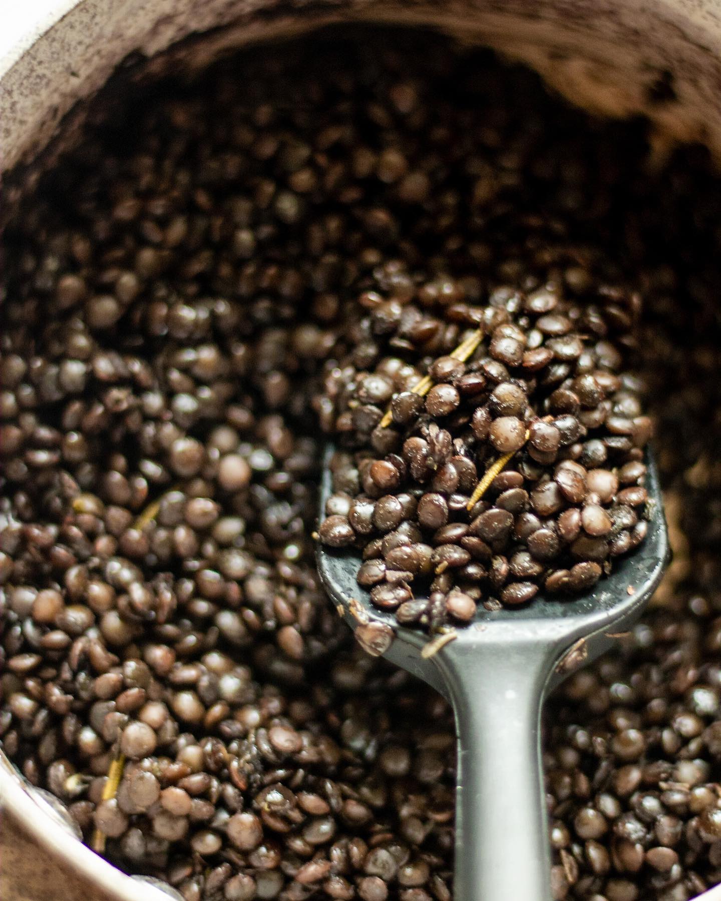 Tahini Roasted Cauliflower and Lentils