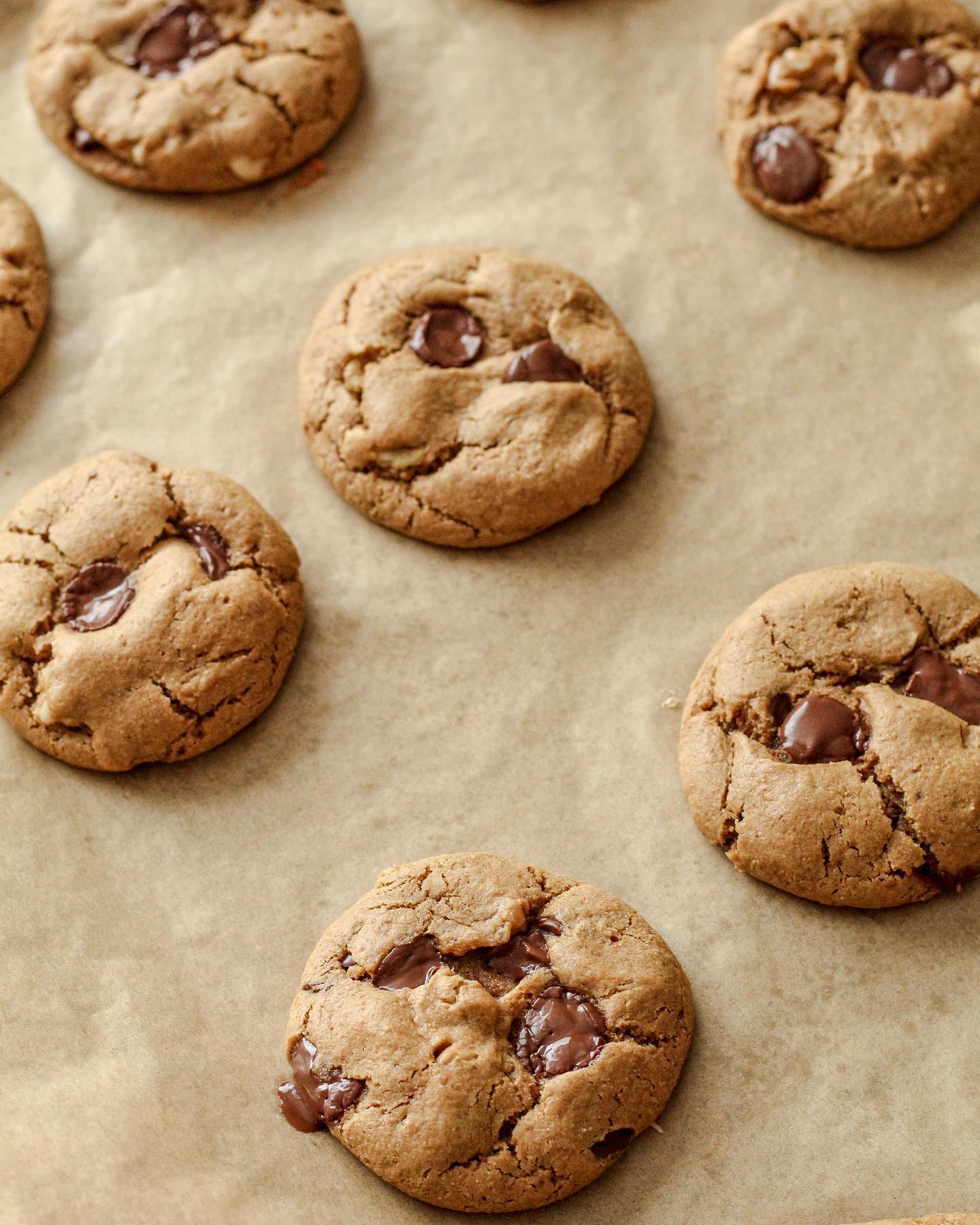 Chocolate Chip Walnut Cookies