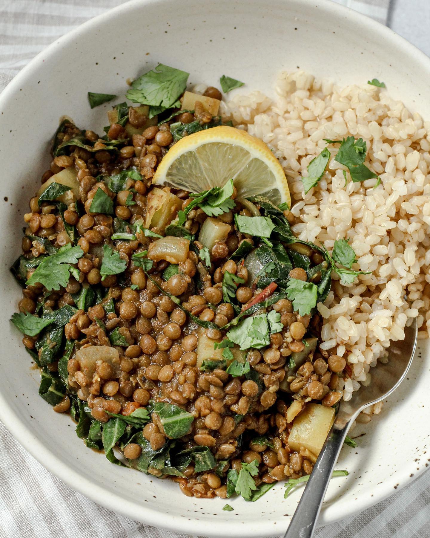 Brown Lentil Curry