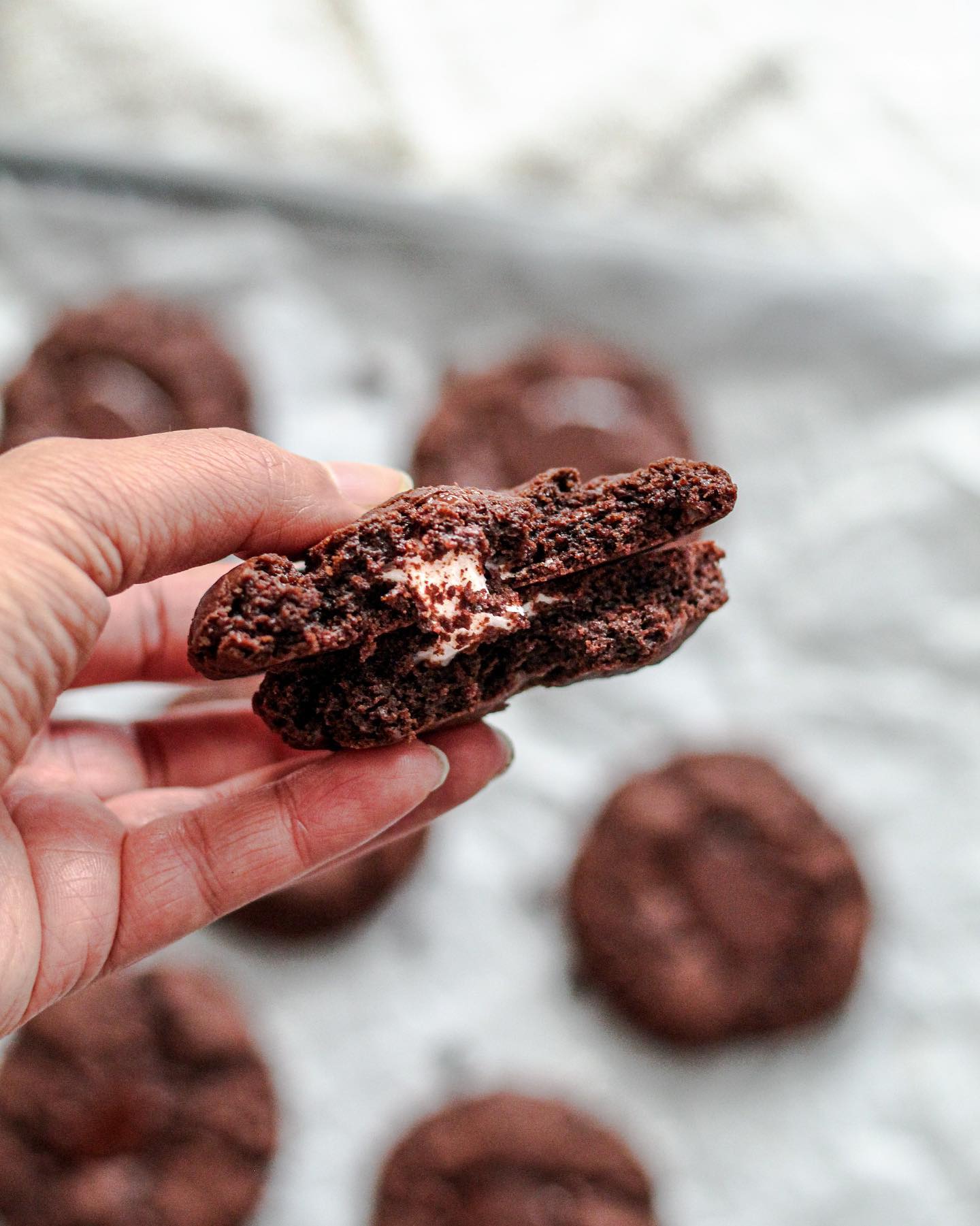 Peppermint Double Chocolate Chip Cookies