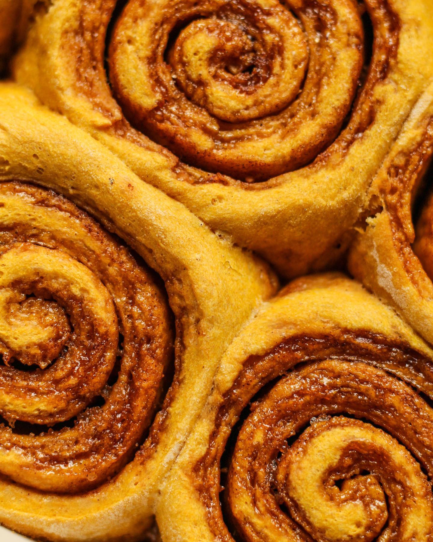Pumpkin Cinnamon Rolls with Salted Maple Cream Cheese