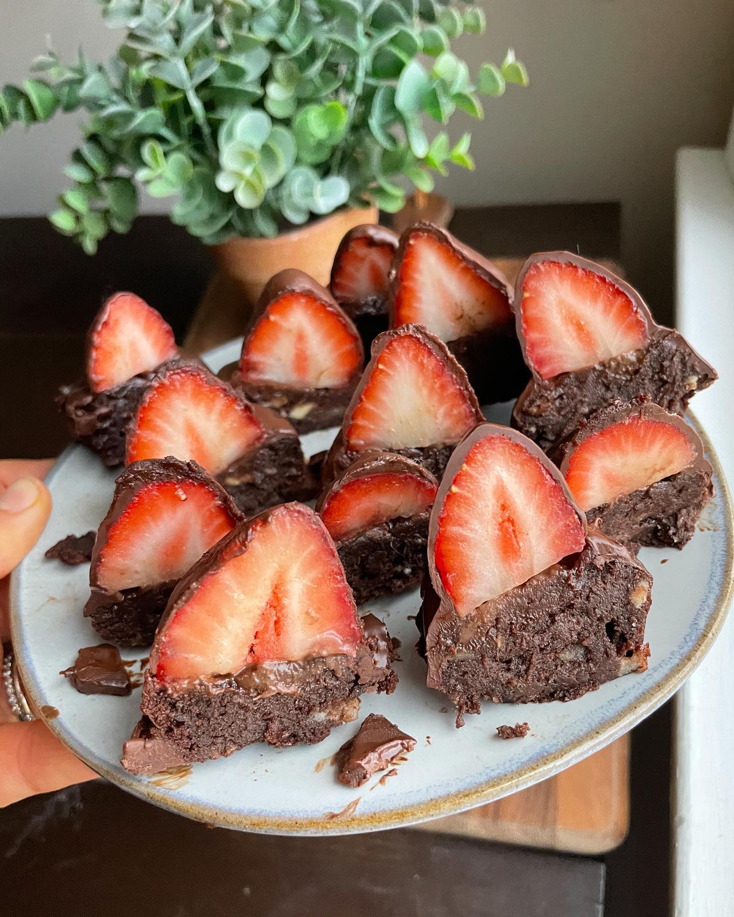 Vegan Chocolate Covered Strawberry Brownie Bites