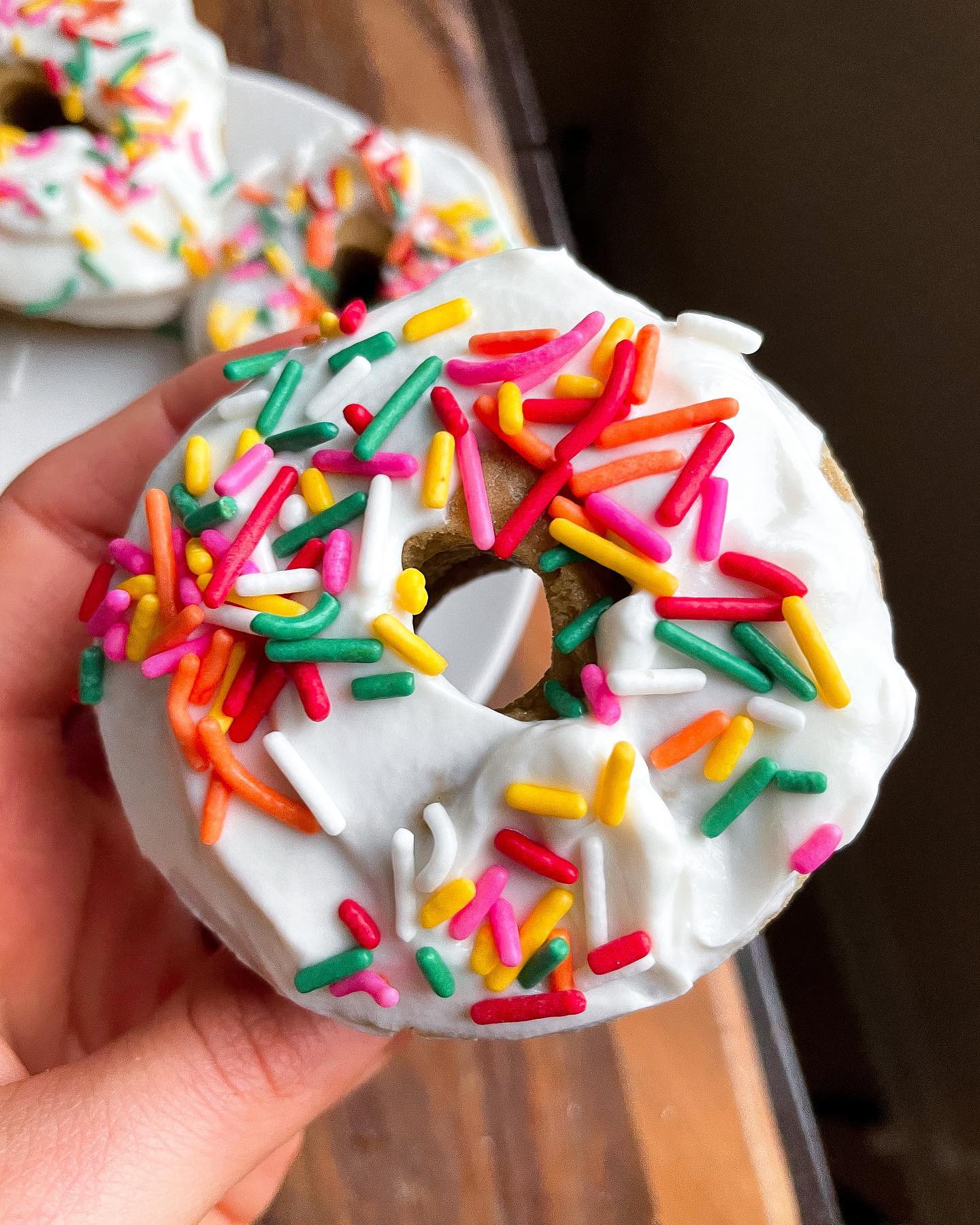 Blender-Made Gluten-Free Oat Flour Vanilla Donuts
