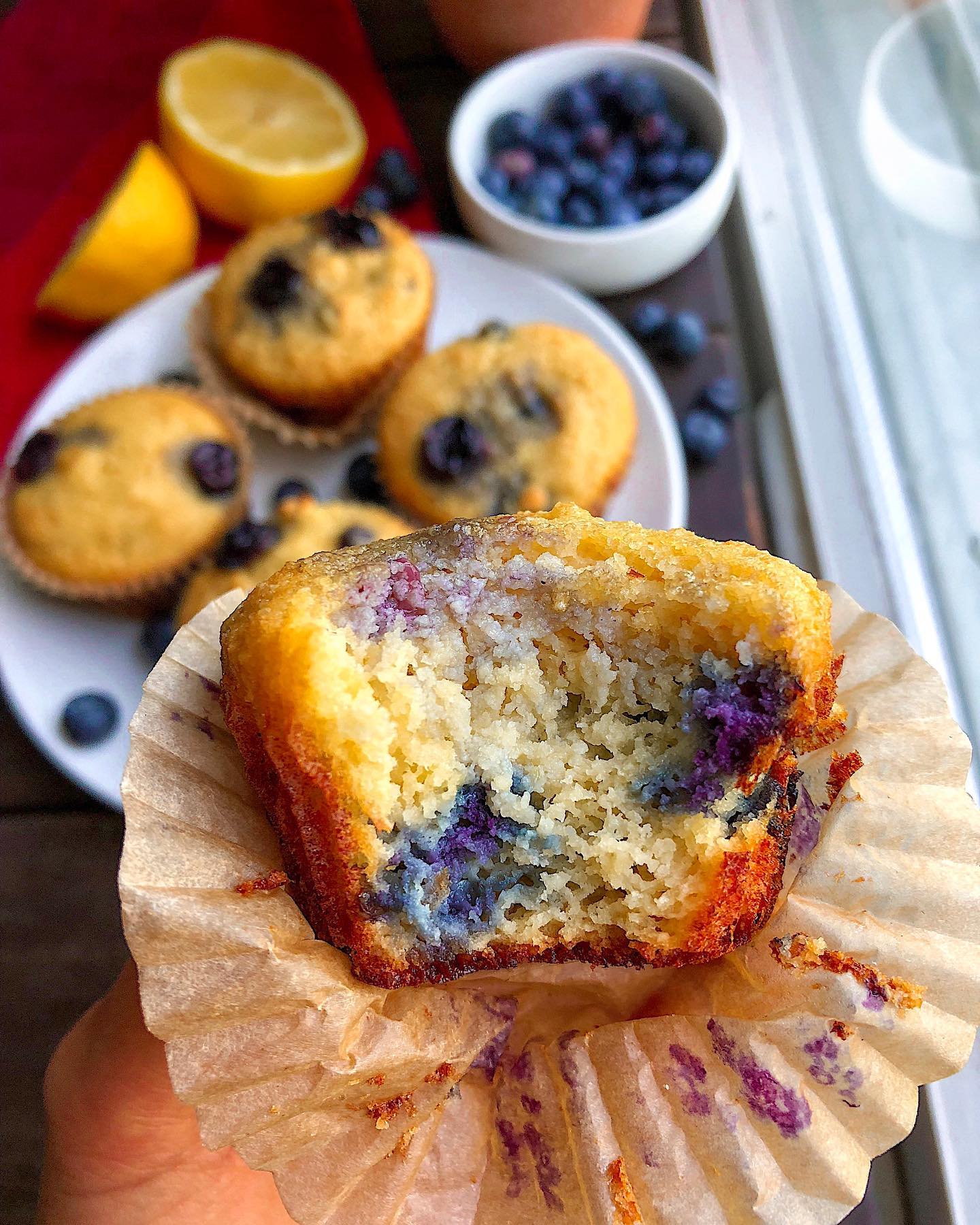 Gluten-Free Paleo Lemon Blueberry Muffins