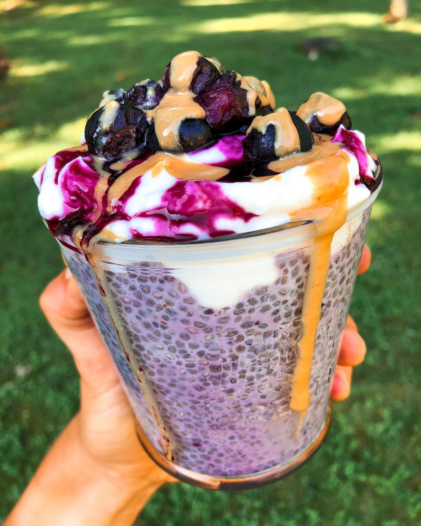 Overnight Blueberry Chia Pudding