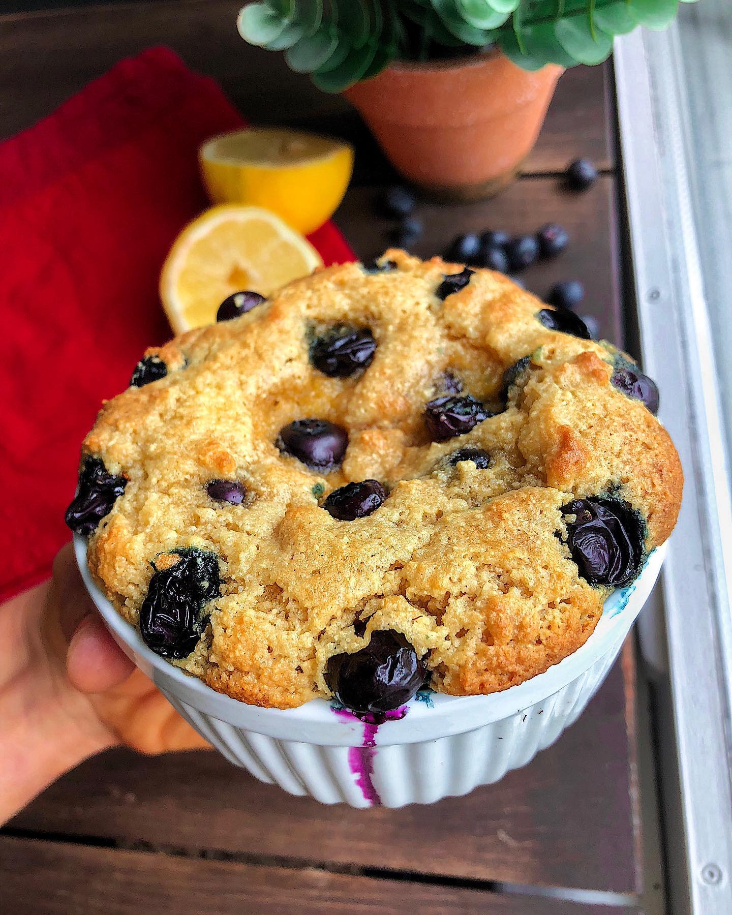Blueberry Lemon Mug Cake