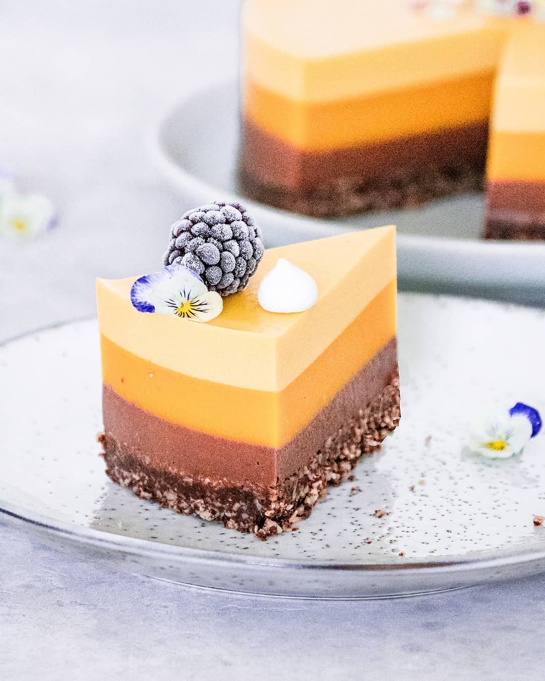 Vegan No Bake Chocolate and Mango Cake