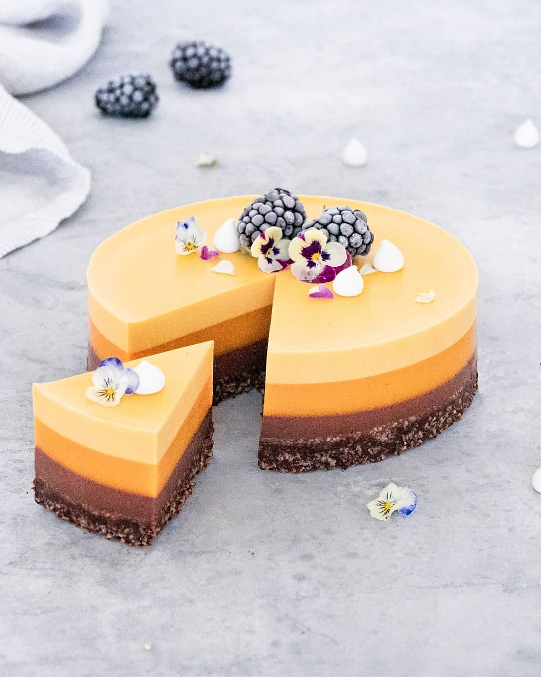 Vegan No Bake Chocolate and Mango Cake