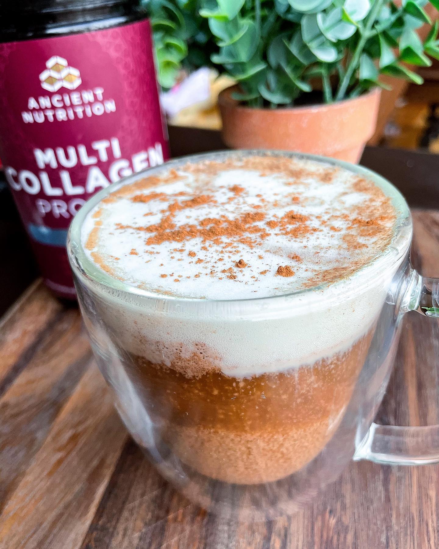 Gingerbread Latte with Vanilla Collagen