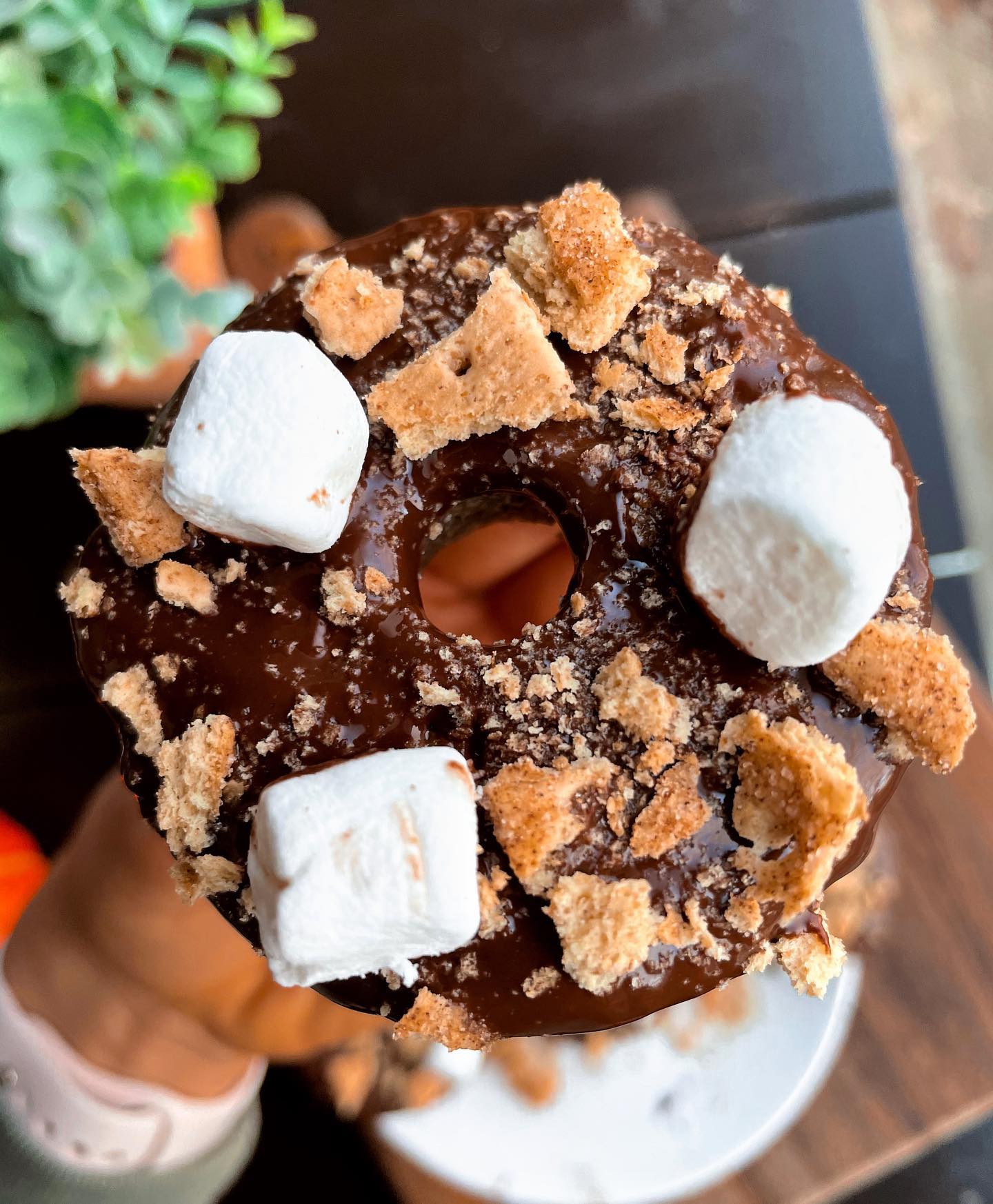 Easy Gluten-Free S'mores Donuts