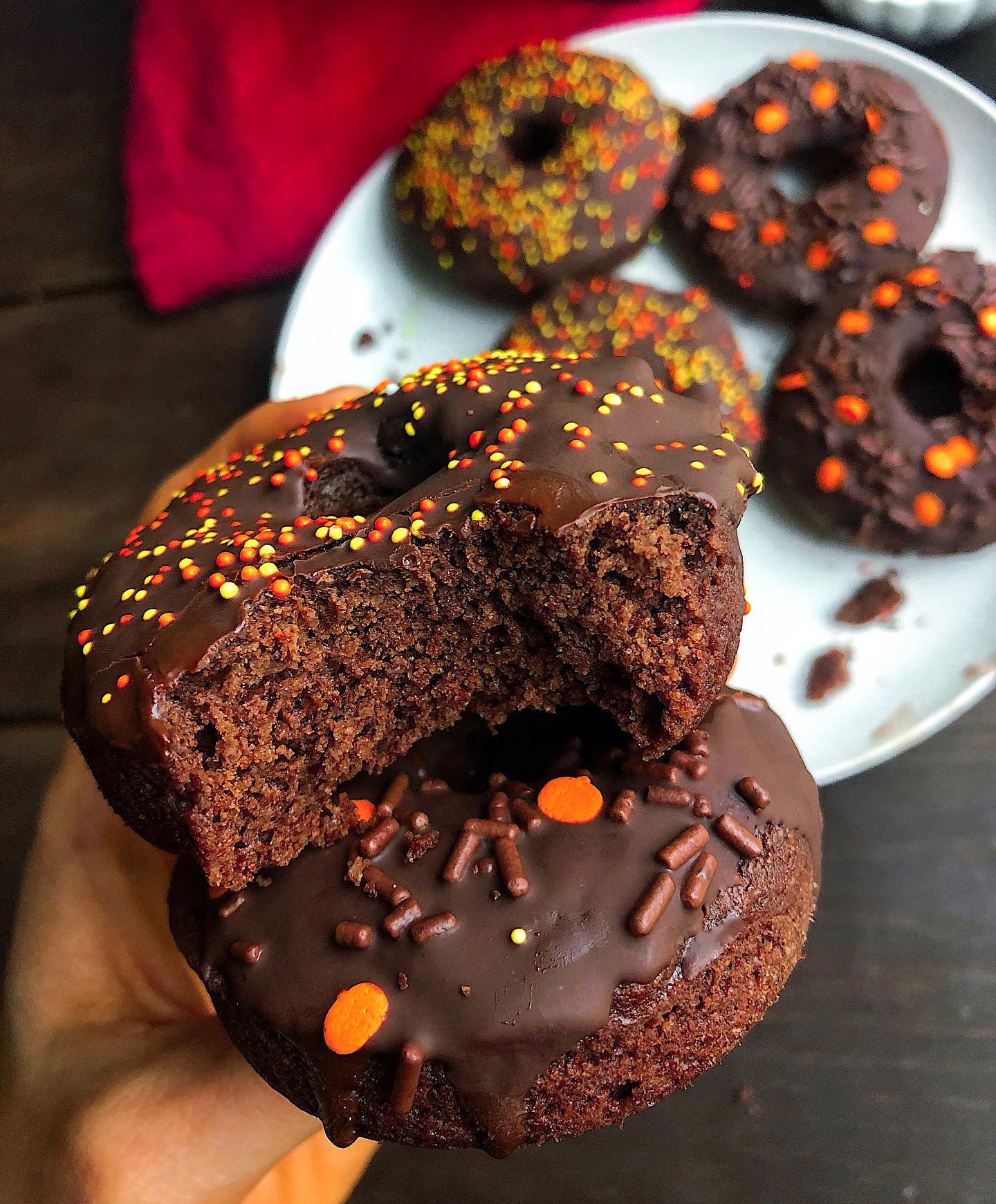Easy Paleo Chocolate Donuts with Sprinkles