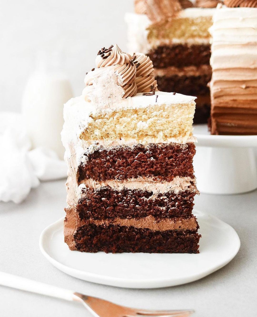 Delicious Vegan Ombré Chocolate Cake