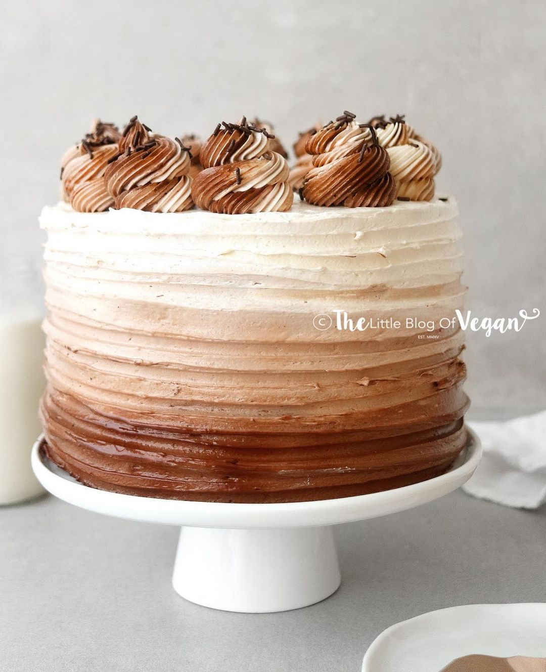 Delicious Vegan Ombré Chocolate Cake
