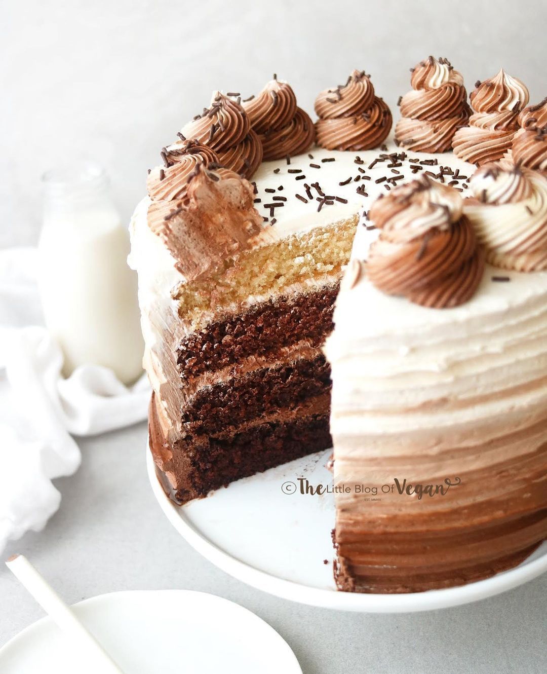 Delicious Vegan Ombré Chocolate Cake