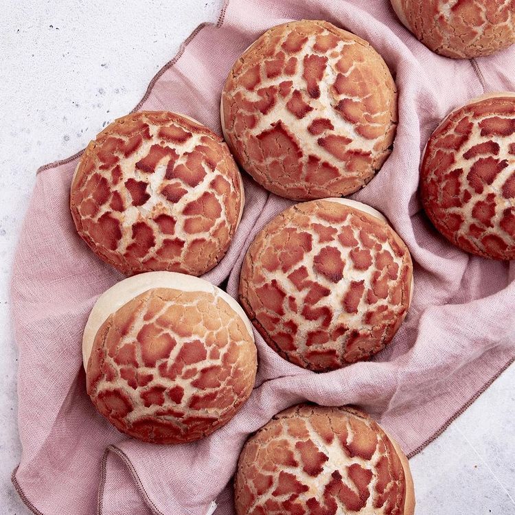 Vegan Dutch Crunch Buns
