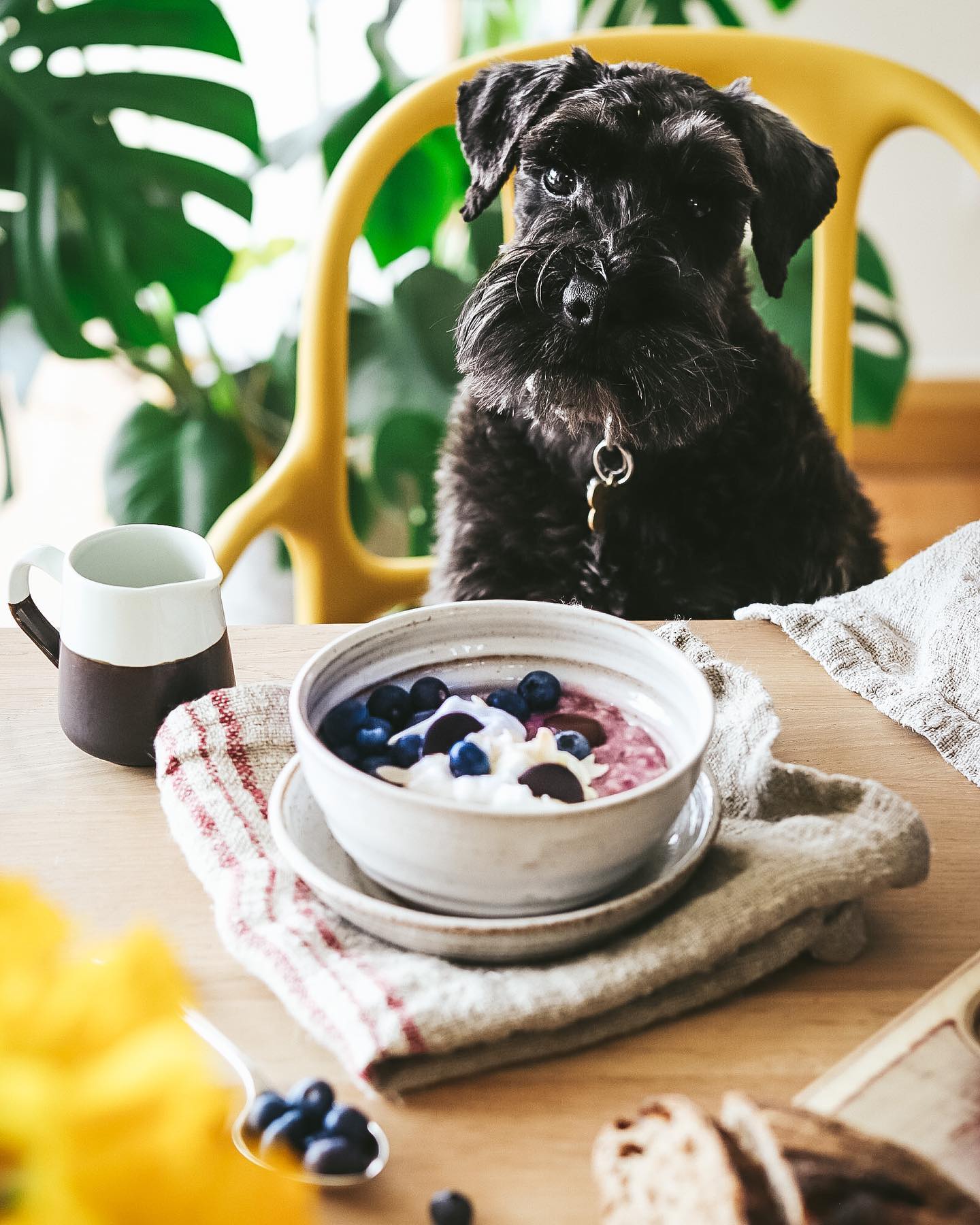 Blueberry Cinnamon Porridge with Yoghurt
