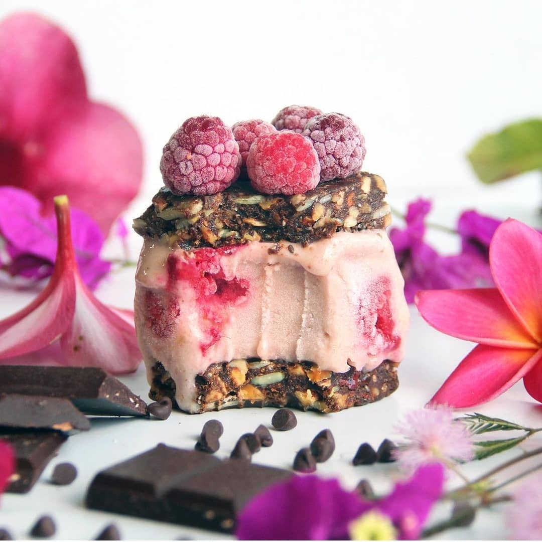 Raspberry Coconut Nice Cream Sandwich