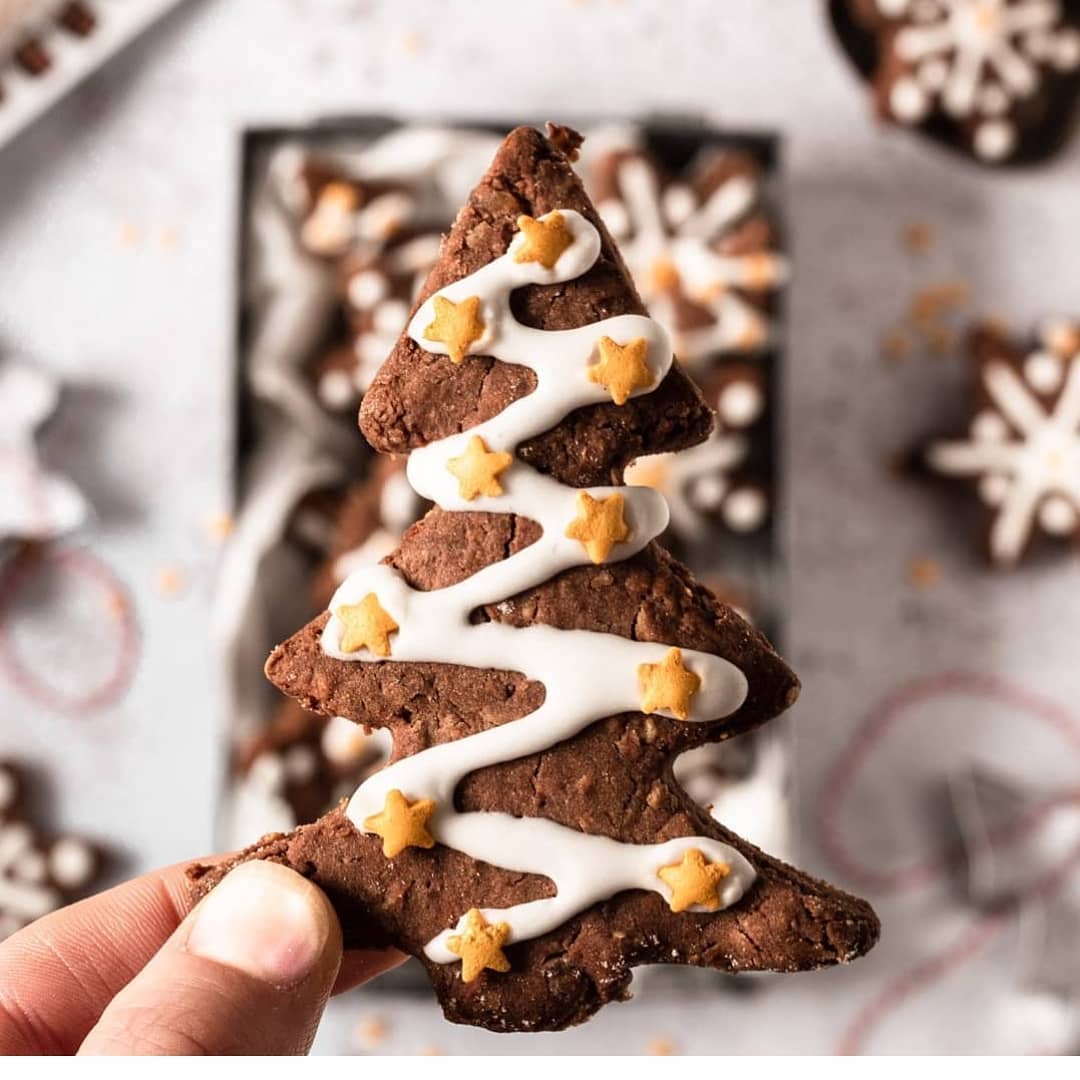 Vegan Chocolate Gingerbread Cookies