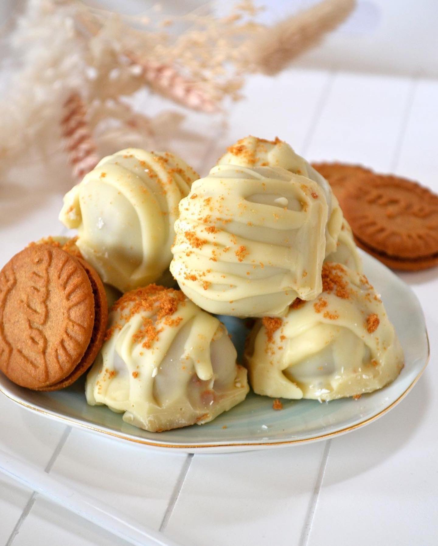 Easy 4-Ingredient No Bake Biscoff Protein Balls
