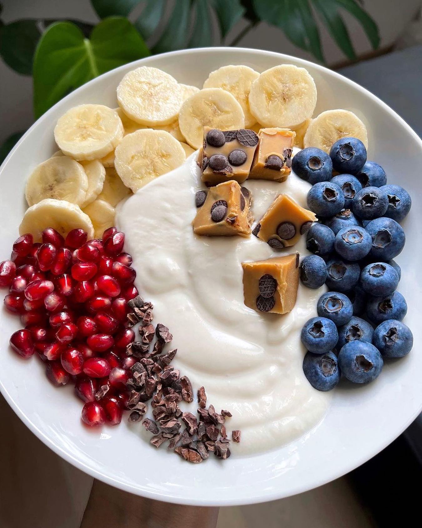 Vegan Breakfast Yogurt Bowl