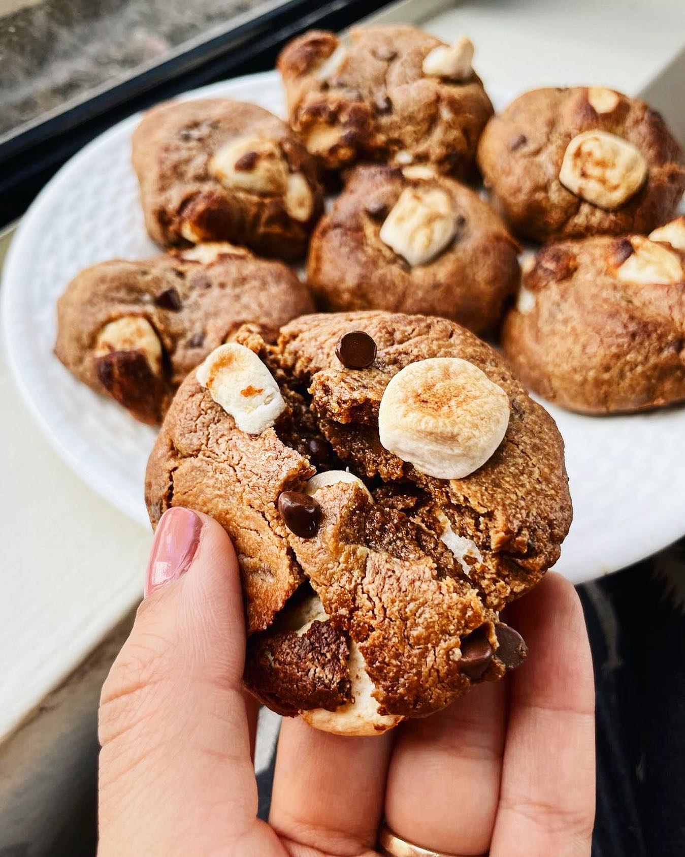 Peanut Butter Chocolate Chip S’mores Cookies