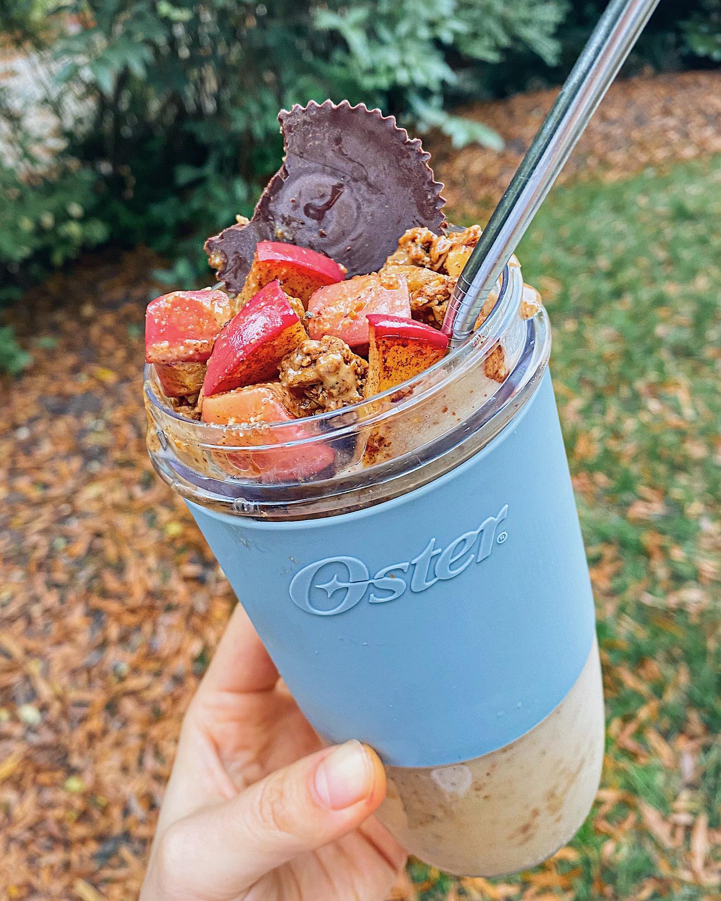 Easy Apple Pie Smoothie