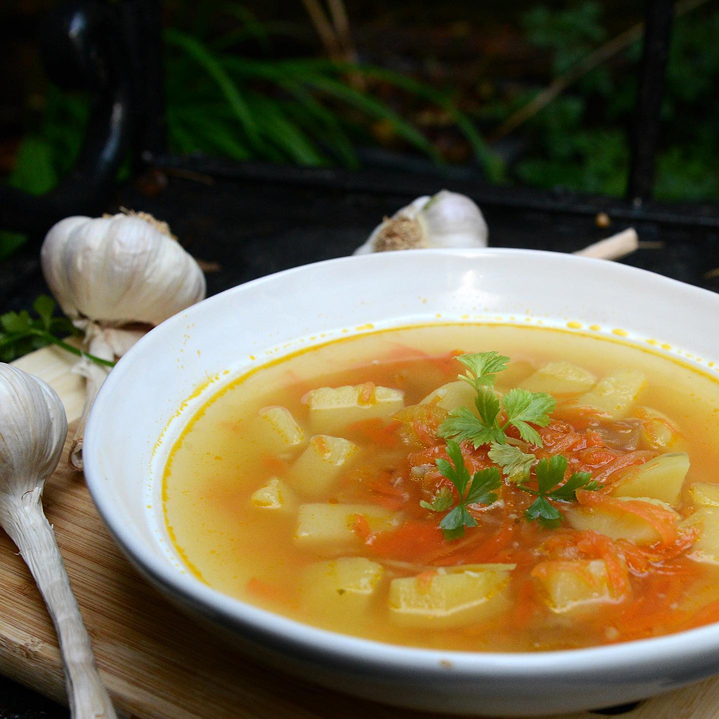 Mom's Garlic Vegetable Soup