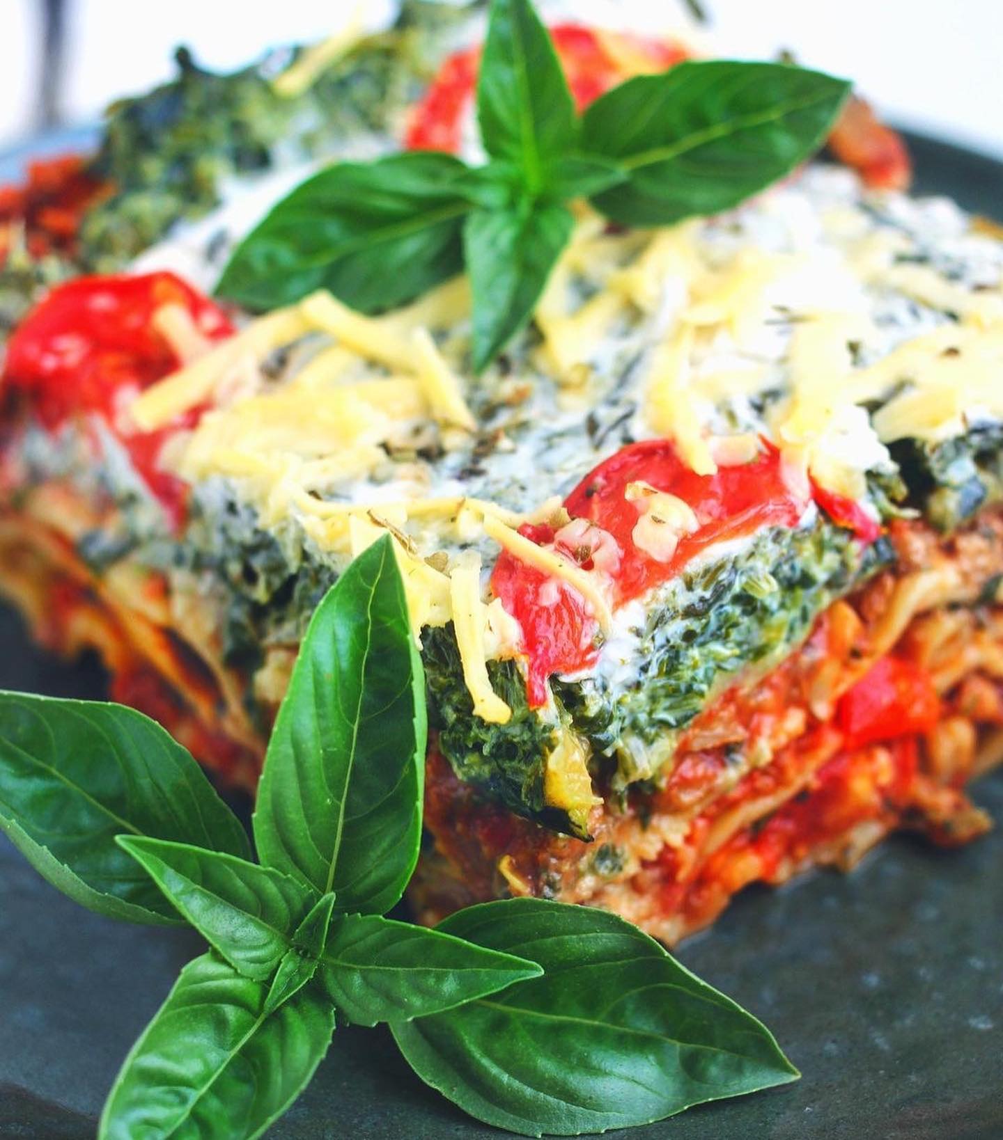 Vegan Lasagna with Zucchini and Spinach