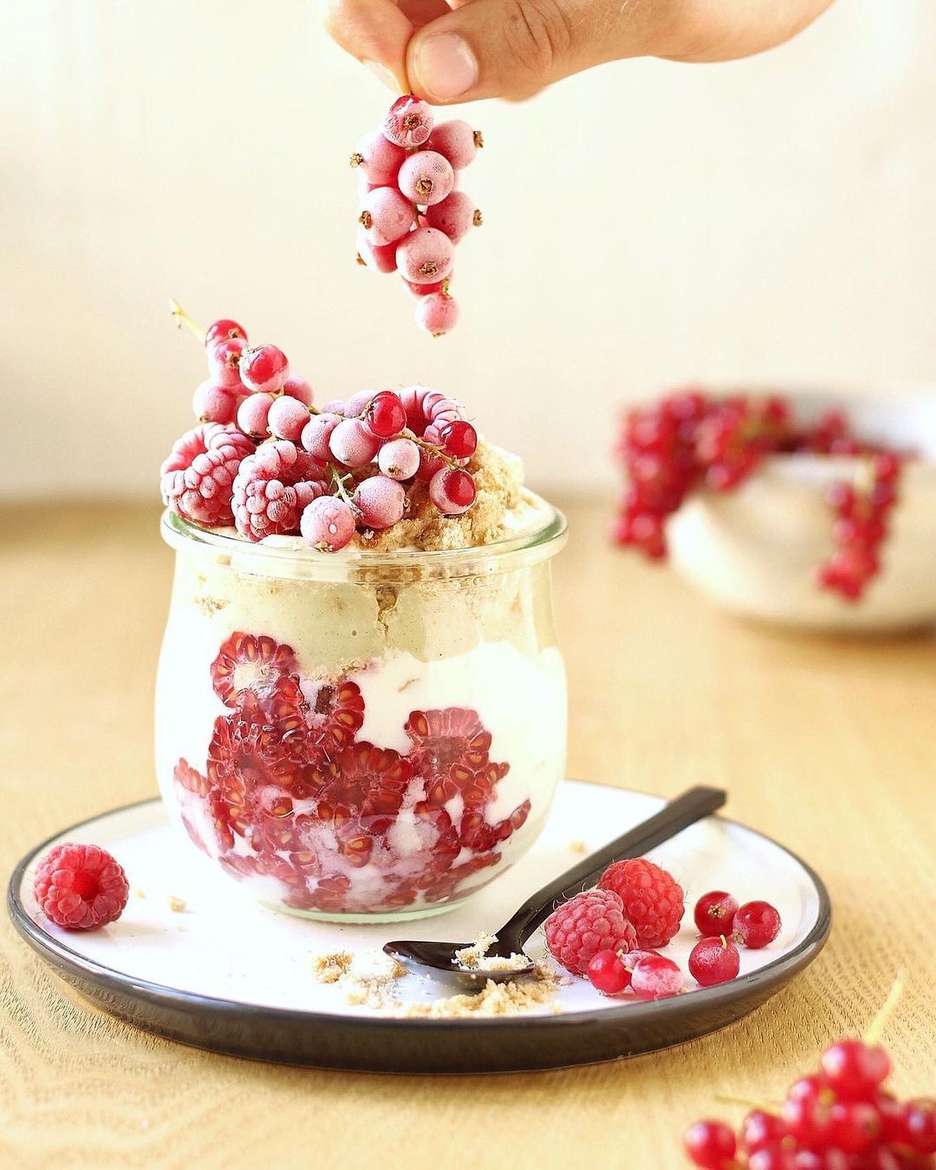 Raspberry Soy Yogurt Granola Bowl