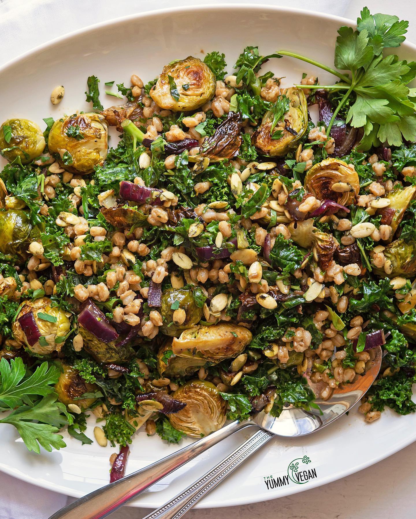 Brussels Sprouts Salad with Kale & Farro