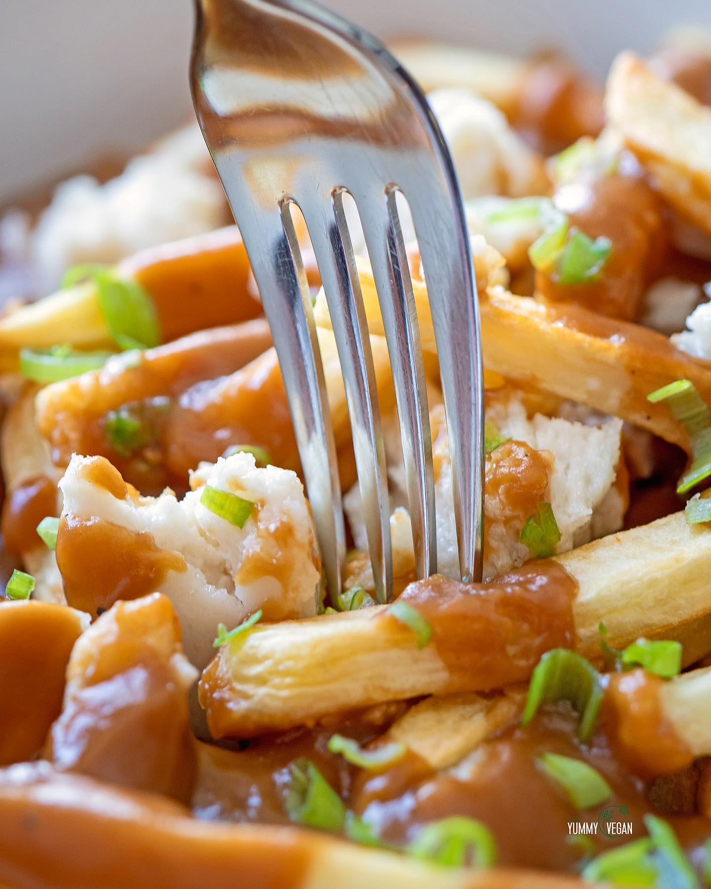 Vegan Poutine: Crispy Fries with Melty Cheese and Gravy