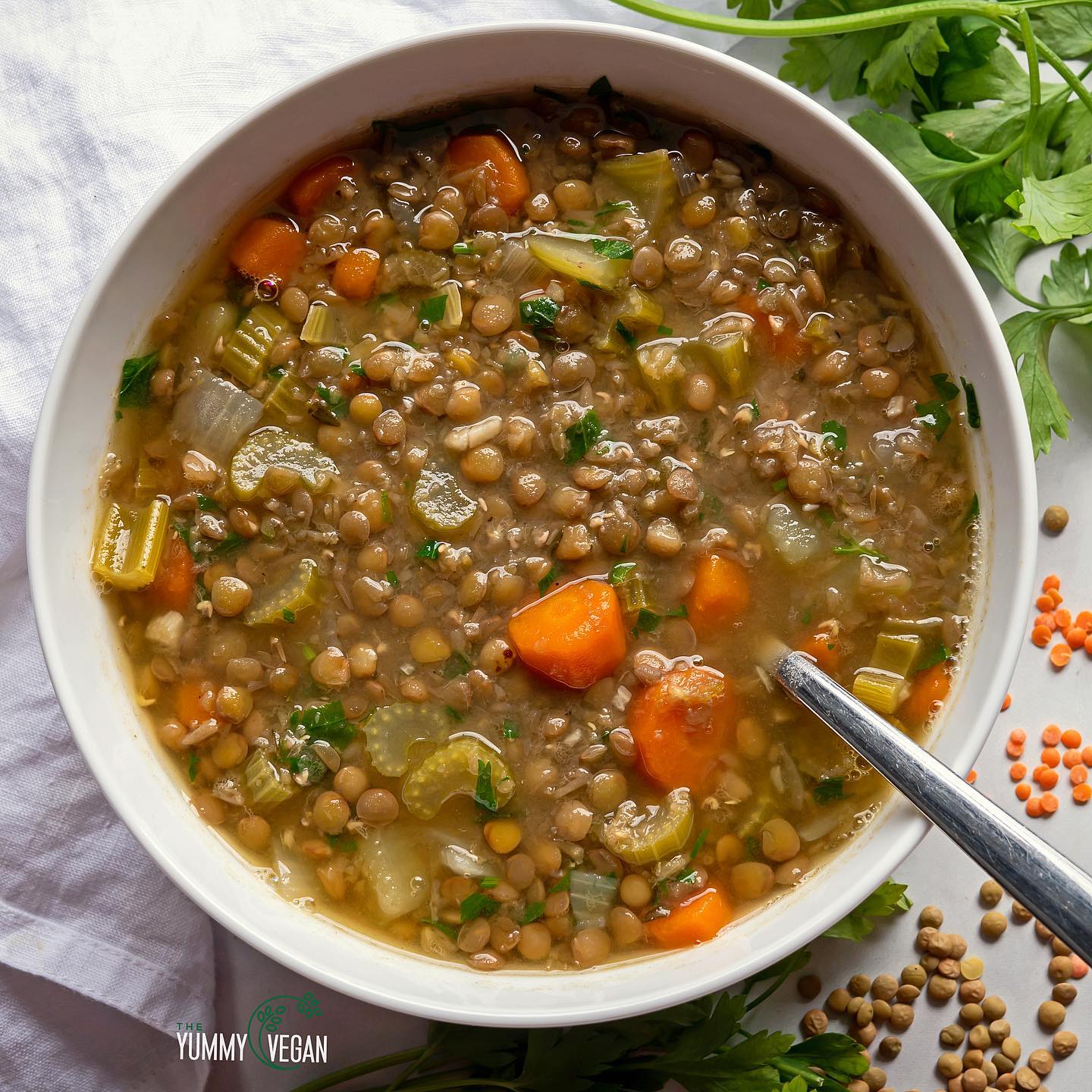 Hearty Lentil Vegetable Soup
