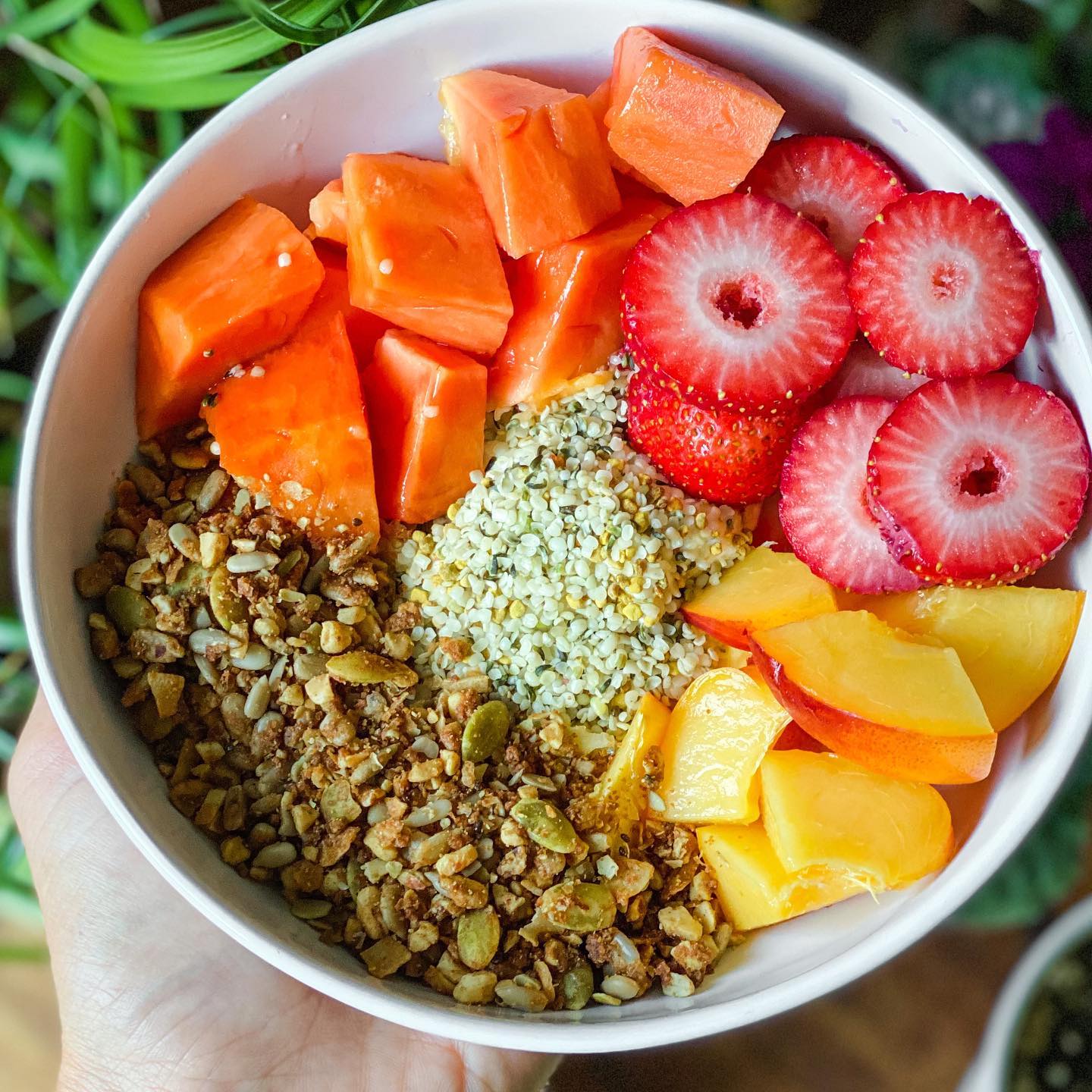 Summer Fruits Breakfast Bowl
