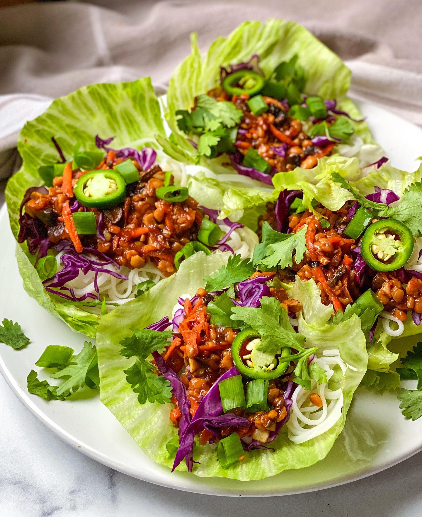 Simple Teriyaki Tempeh Lettuce Wraps