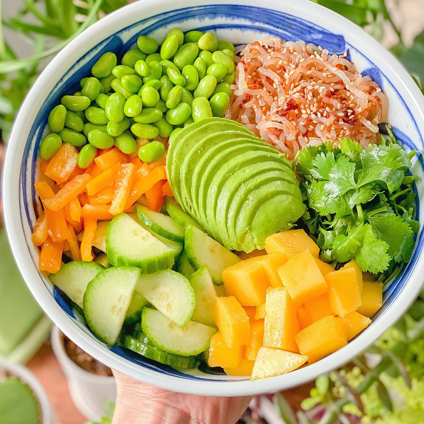 Mango Edamame Kale Bowl
