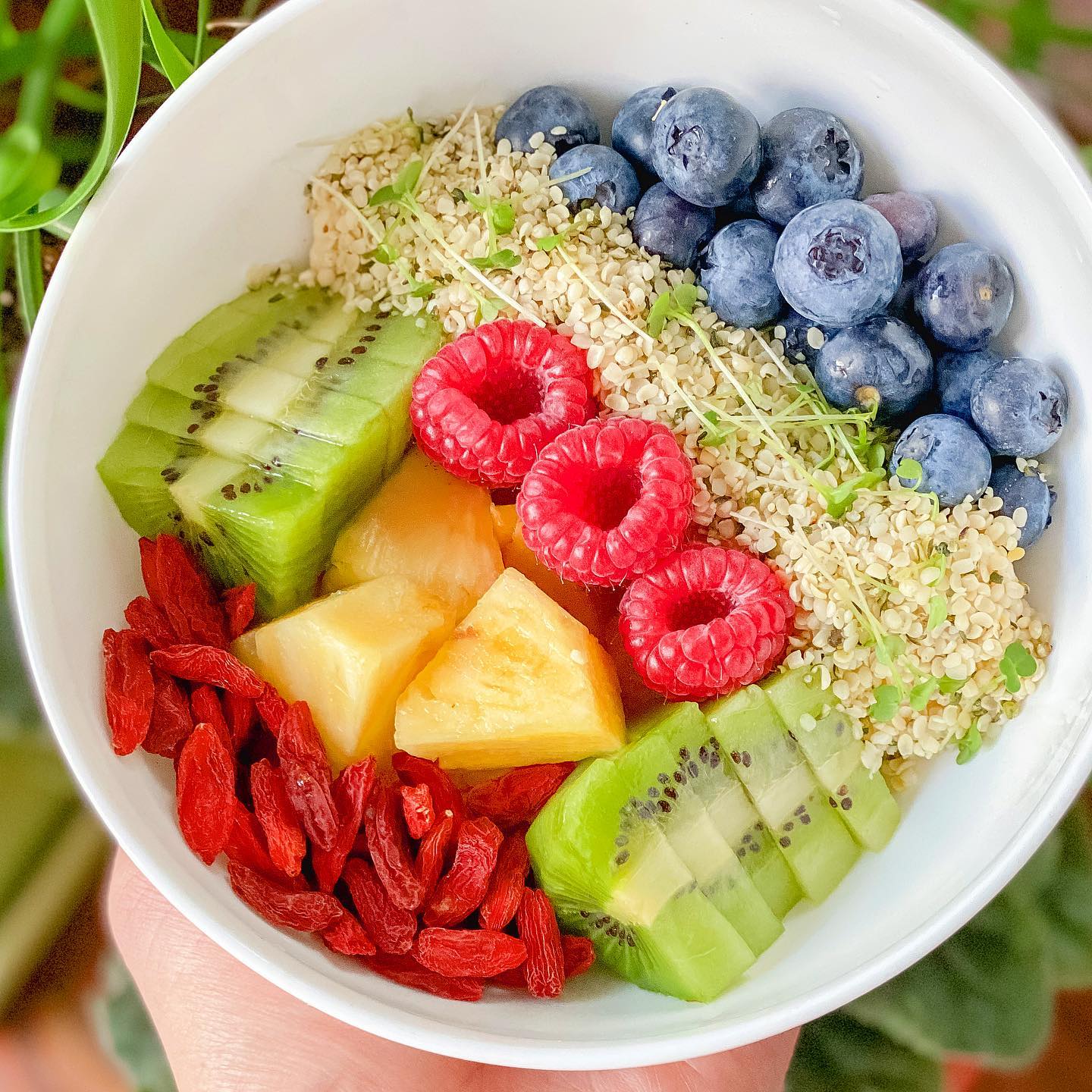 Superfood Breakfast Bowl with Fruits