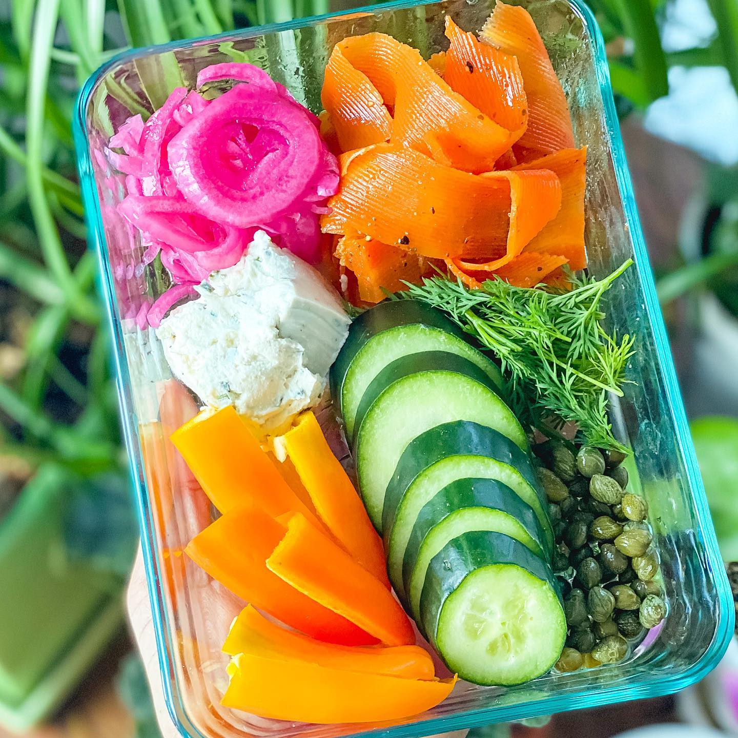 Healthy Plant-Based Adult Lunchable