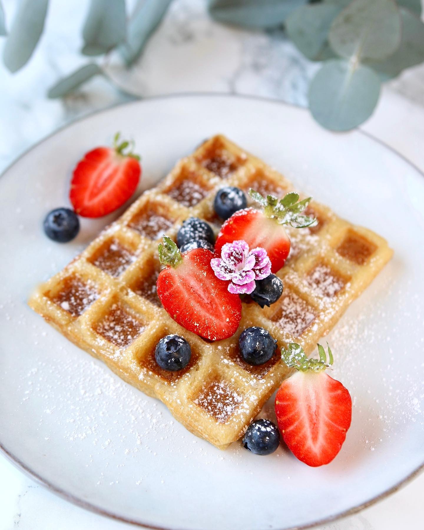 Quick Vegan Belgian Waffles with Oatmilk