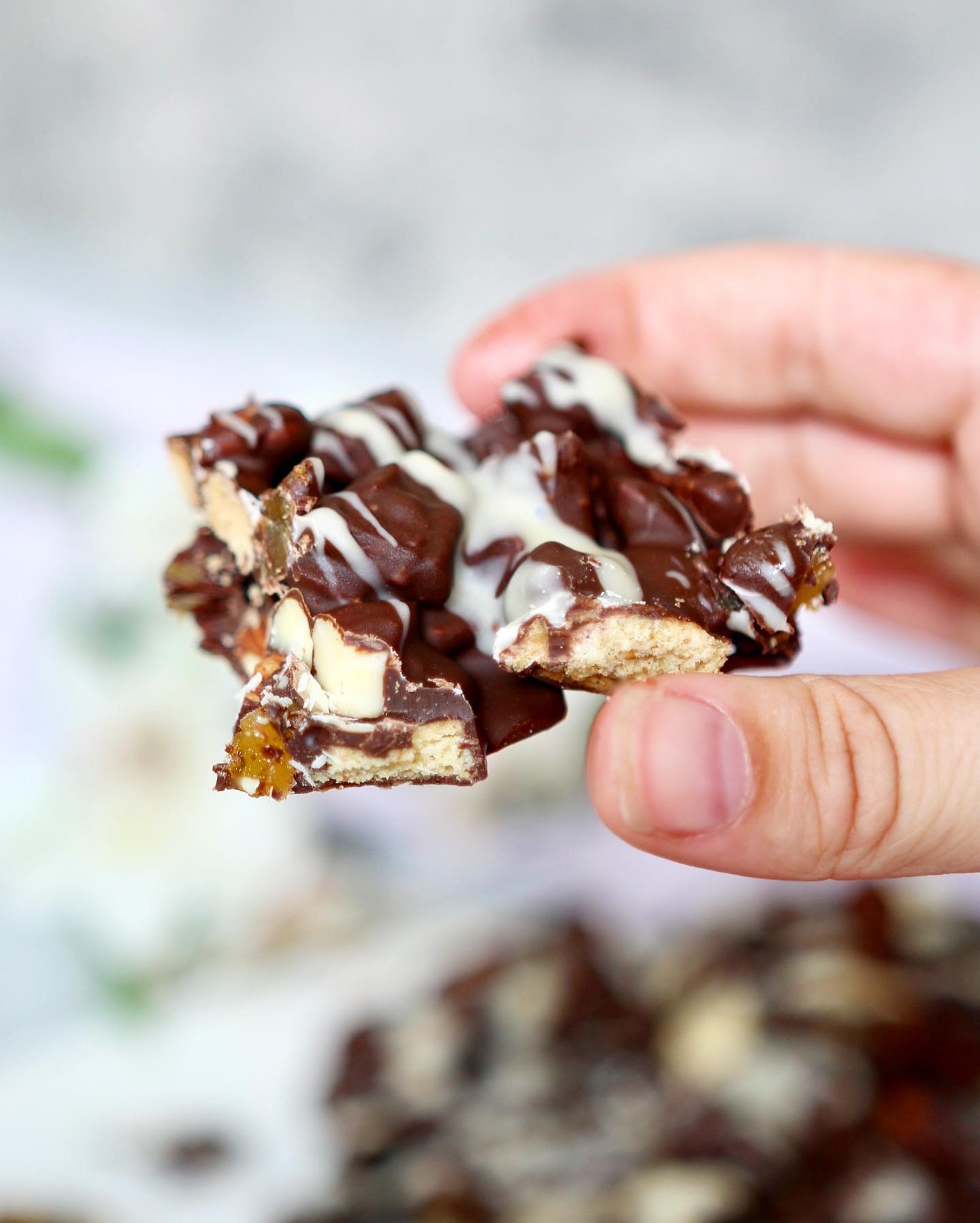 Vegan Chocolate Bits with Nuts and Fruit