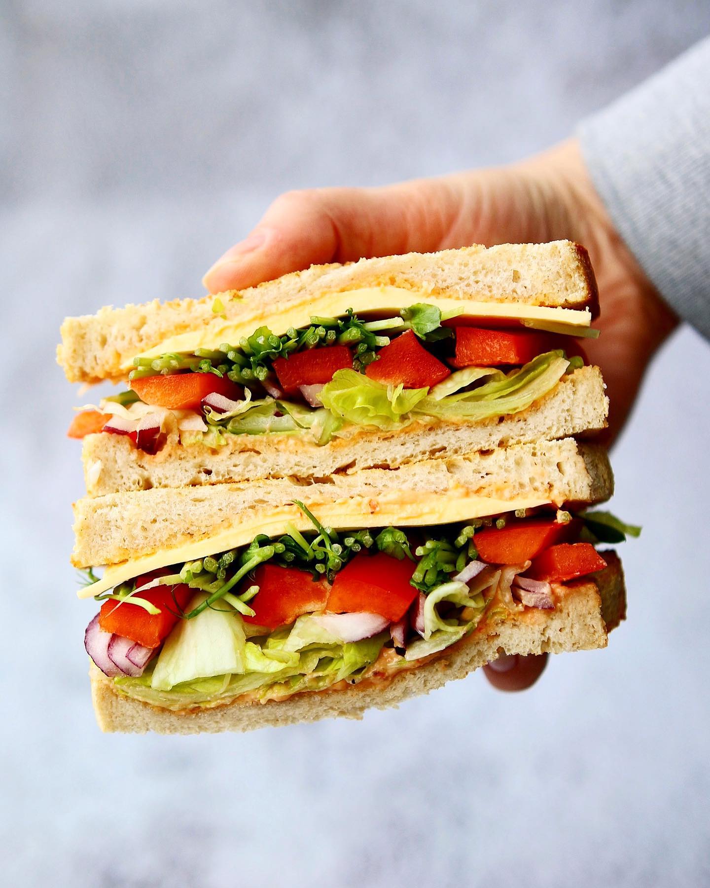 Vegan Toast with Fresh Vegetables